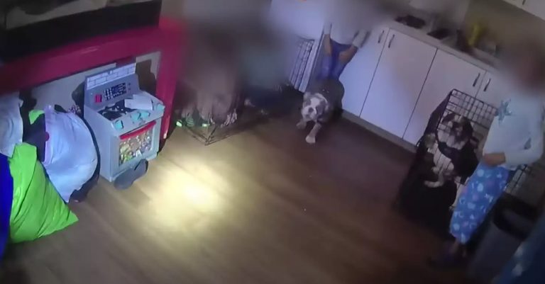 Λας Βέγκας: Γονείς κλείδωναν τα παιδιά τους σε κλουβιά – Βίντεο σοκ