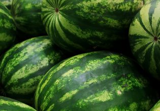 Καρπούζι: Κανόνες για την αποφυγή ποιοτικών προβλημάτων στη διακίνηση