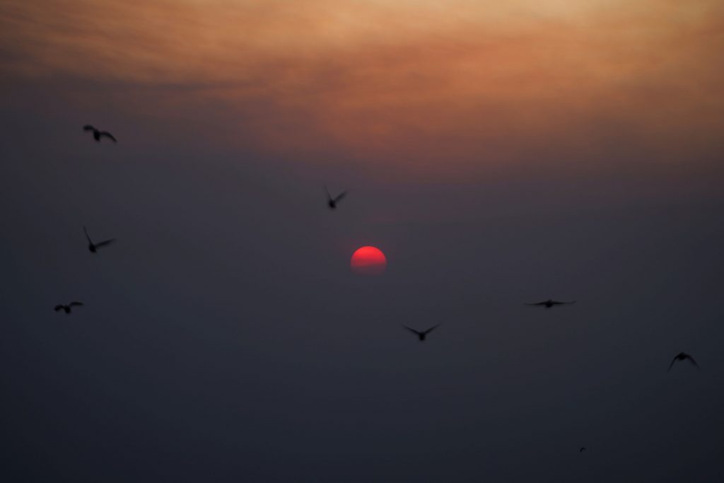 Καύσωνας: Πως αμύνονται τέσσερις πόλεις