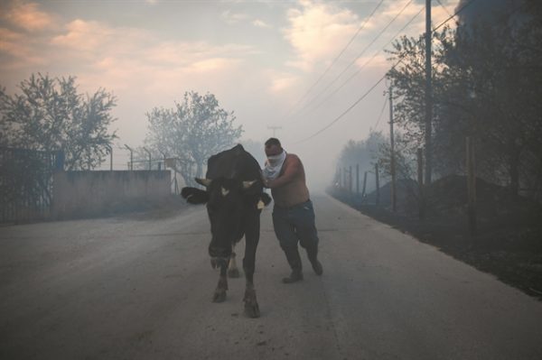 Φυσικές καταστροφές: Πάνω από 9 δισ. το ετήσιο κόστος