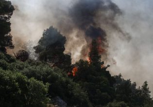 Επαναδιοργάνωση και επαναστελέχωση των αποδιοργανωμένων Δασικών Υπηρεσιών ζητάει ο Πρόεδρος της ΚΕΔΕ