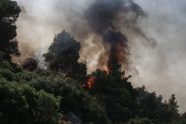 Επαναδιοργάνωση και επαναστελέχωση των αποδιοργανωμένων Δασικών Υπηρεσιών ζητάει ο Πρόεδρος της ΚΕΔΕ
