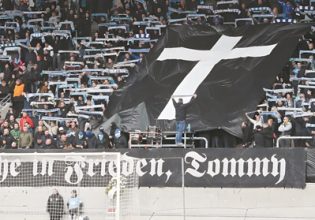 Τα αβγά του φιδιού επωάζονται στα γήπεδα