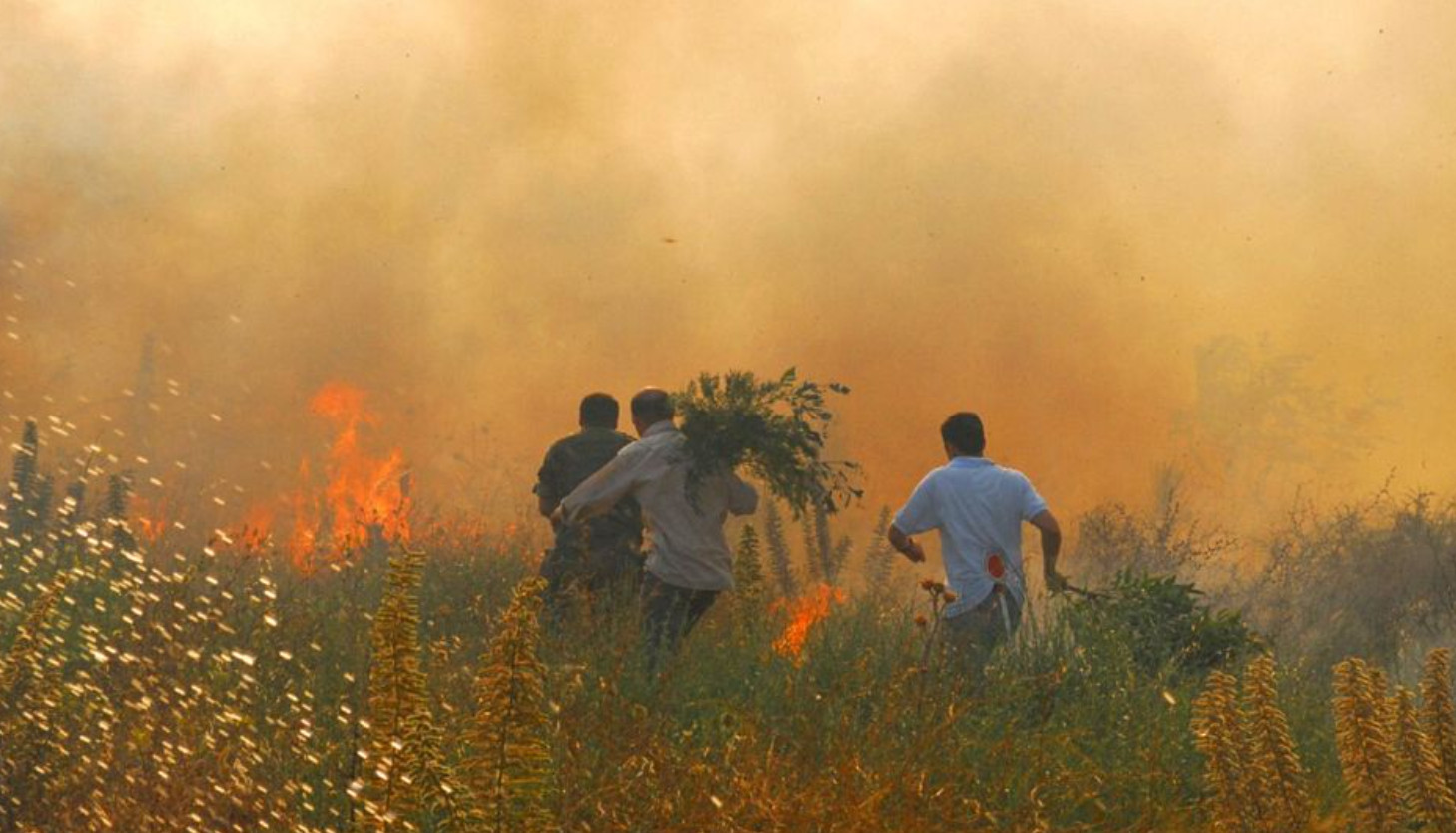 Ιταλία: Τέσσερις τραυματίες σε μεγάλη πυρκαγιά στη Σαρδηνία