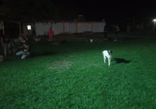 Φωτιά στην Αλεξανδρούπολη: Δεκάδες σκυλιά διασώθηκαν από καταφύγιο αδέσποτων