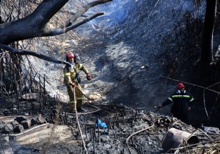 Μαίνεται η μεγάλη φωτιά στην Κάρυστο – Ενισχύθηκαν οι δυνάμεις
