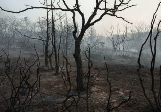 Φωτιά στον Έβρο: Το πλαίσιο κρατικής αρωγής για τους πληγέντες – Τι περιλαμβάνει η στεγαστική συνδρομή και η ενίσχυση των επιχειρήσεων