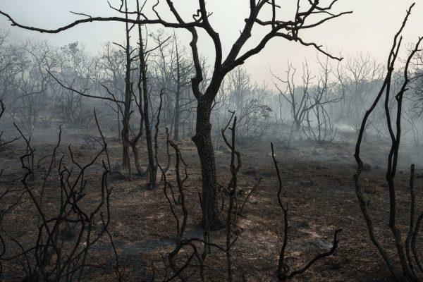 Φωτιά στον Έβρο: Το πλαίσιο κρατικής αρωγής για τους πληγέντες – Τι περιλαμβάνει η στεγαστική συνδρομή και η ενίσχυση των επιχειρήσεων