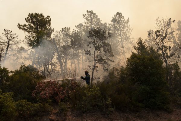 Φωτιά στην Αλεξανδρούπολη: Καλύτερη η εικόνα στο μέτωπο – Επαναλειτουργεί το νοσοκομείο