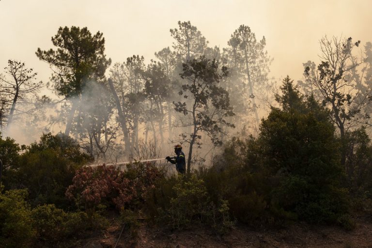 Φωτιά στην Αλεξανδρούπολη: Καλύτερη η εικόνα στο μέτωπο – Επαναλειτουργεί το νοσοκομείο