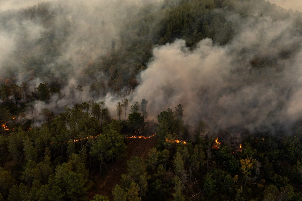 Φωτιά στον Έβρο: Μεγαλώνει το μέτωπο και η ένταση της πυρκαγιάς