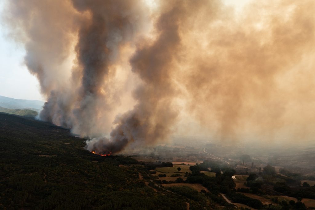 Φωτιά: 195% αύξηση των καμένων εκτάσεων – Πρώτη η Ελλάδα στη Μεσόγειο