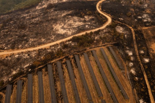 Φωτιά στον Έβρο: Άμεση η ενεργοποίηση της διαδικασίας των αποζημιώσεων για τους πυροπαθείς, λέει ο Μάκης Βορίδης