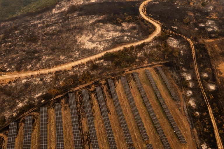 Φωτιά στον Έβρο: Άμεση η ενεργοποίηση της διαδικασίας των αποζημιώσεων για τους πυροπαθείς, λέει ο Μάκης Βορίδης