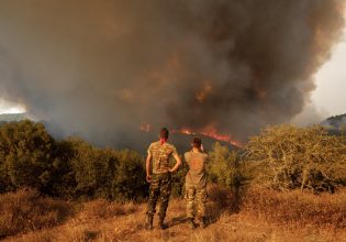 Φωτιά στον Έβρο: Απίστευτη μαρτυρία κατοίκου – Πώς κάτοικοι και πυροσβέστες έσωσαν τον Αβάντα