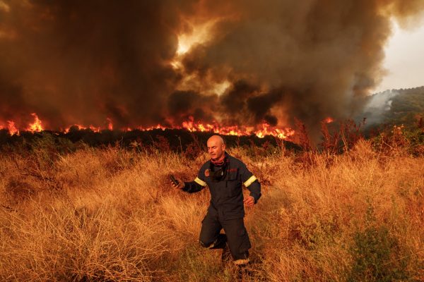 Φωτιά: «Ό,τι κάηκε πρέπει να δοθεί πίσω στην φύση» – Για πρωτοφανή οικολογική καταστροφή μιλά ο εθνοβιολόγος Παύλος Γεωργιάδης