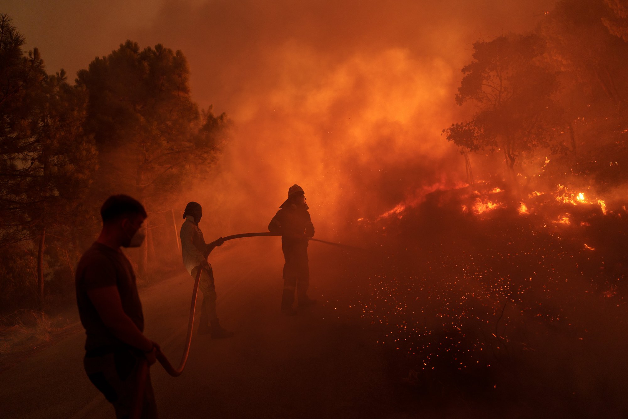 Φωτιά στην Πάρνηθα: Συγκλονιστικές μαρτυρίες κατοίκων για τη «μάχη» με τις φλόγες – «Μολών λαβέ λες με τη φωτιά»