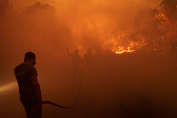 «Καμπανάκι» Συνολάκη για φωτιές: Θα έχουμε «μέγα πυρκαγιές» και του χρόνου