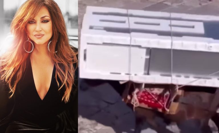 Καίτη Γαρμπή: Ξέσπασε για τις εικόνες με το μουλάρι στην Ύδρα