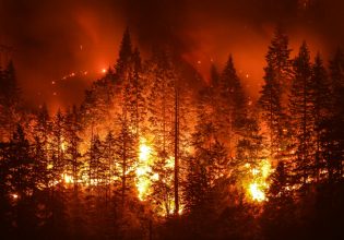 Πώς θα ζήσουμε σε μια ήπειρο που φλέγεται – Τι κάνουμε λάθος με τα δάση και τις φωτιές;