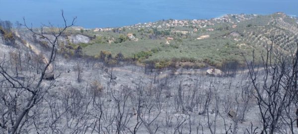 Σε κατάσταση έκτακτης ανάγκης ο Δήμος Αιγιαλείας – Αποκλειστικές δηλώσεις του Δημάρχου για το μέγεθος της καταστροφής
