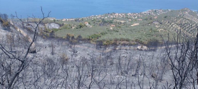 Σε κατάσταση έκτακτης ανάγκης ο Δήμος Αιγιαλείας – Αποκλειστικές δηλώσεις του Δημάρχου για το μέγεθος της καταστροφής