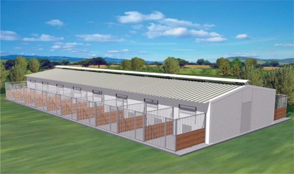 Νέες υποδομές για τα αδέσποτα ζώα στο Δήμο Ανδραβίδας – Κυλλήνης