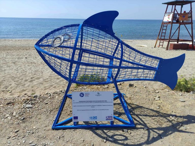 Εμφάνιση τεράστιων ψαριών στην Αλεξανδρούπολη