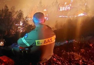 «Κάναμε ό,τι μπορούσαμε, δεν ήταν αρκετό»: Συγκλονιστική ανάρτηση πυροσβέστη