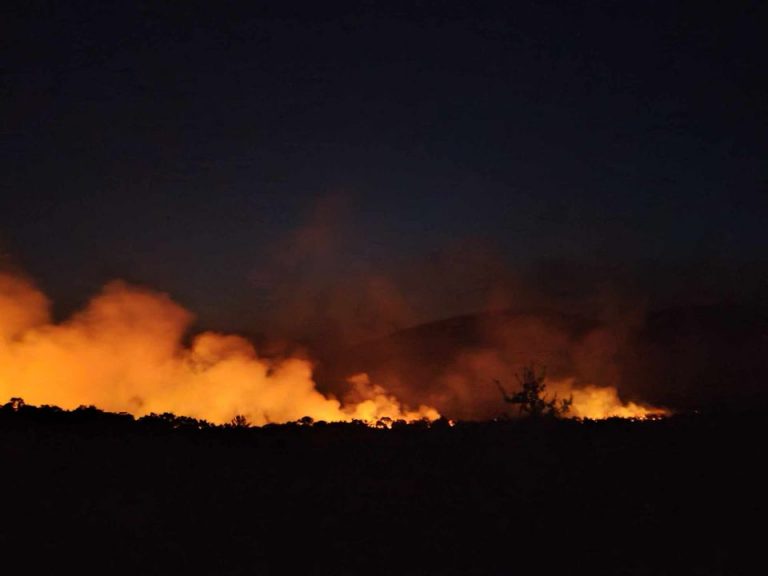 Φωτιά: Ολονύχτια μάχη με τις φλόγες σε Έβρο και Άνδρο – Πού είναι υψηλός κίνδυνος πυρκαγιάς την Κυριακή