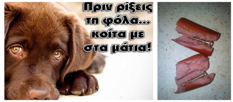 Φόλες και άλλα τέτοια βαρετά