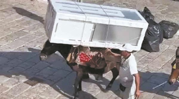 Δεν λυγάνε τα ξεράδια και πονάνε τα ρημάδια…