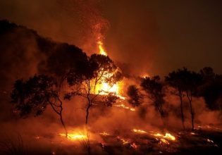 Φωτιά στο «επιτελικό» κράτος «βάζουν» οι πυρκαγιές – Στη Βουλή μεταφέρεται η πολιτική αντιπαράθεση