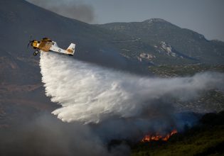 Φωτιά στο Δεβελίκι Χαλκιδικής