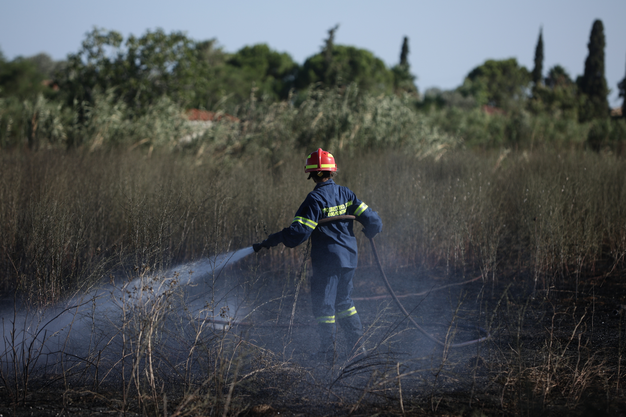 Φωτιά στη Ζάκυνθο: Τέθηκε υπό έλεγχο η πυρκαγιά