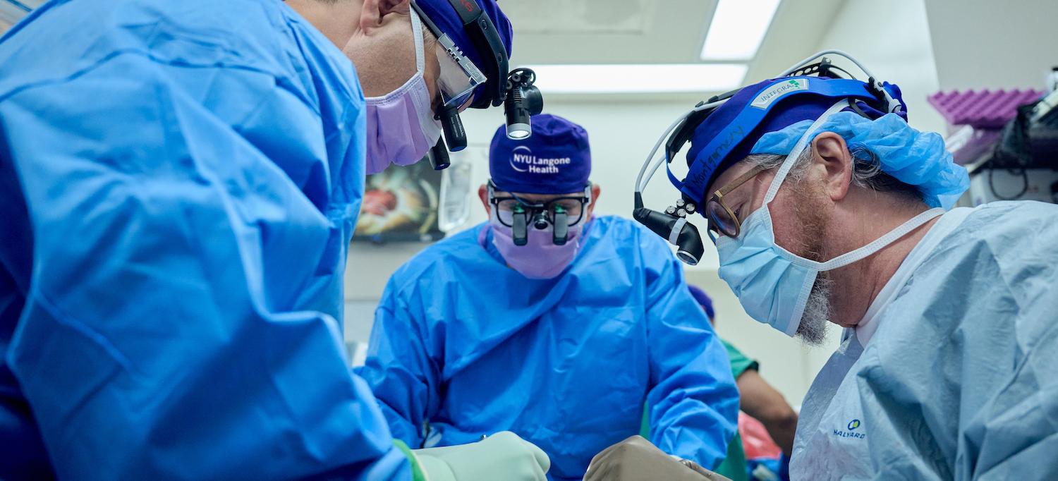 Μεταμόσχευση νεφρού γενετικά τροποποιημένου χοίρου σε εγκεφαλικά νεκρό ασθενή