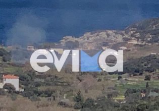 Εύβοια: Φωτιά στο Στόμιο Πετριών – Προκλήθηκε από γεννήτρια