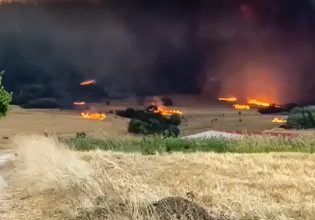 Φωτιά στην Αλεξανδρούπολη: Ποιο είναι το πιο επικίνδυνο μέτωπο – Έκλεισε ξανά η Εγνατία, νέο μήνυμα του 112