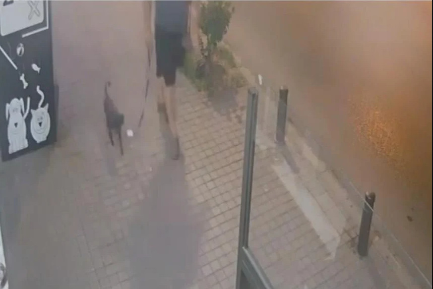 Εγκατάλειψη σκύλου στη Θεσσαλονίκη: Άνδρας τον άφησε δεμένο έξω από κτηνιατρική κλινική
