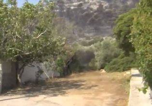 Φωτιά στην Πάρνηθα: Καταγγελία κατοίκων για ακαθάριστο μονοπάτι δίπλα στο σπίτι τους – «Έρχεται ο καθένας και πετάει σαβούρες»