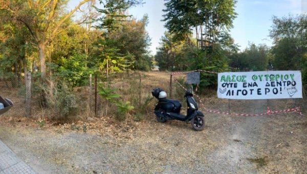 Άλσος Φυτωρίου στην Αλεξανδρούπολη: 15 προσαγωγές σε κινητοποίηση για να μην κοπούν δέντρα