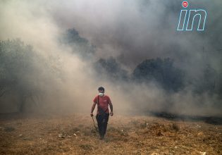Το in στην Πάρνηθα – Αποκαρδιωτικές εικόνες καταστροφής από τη φωτιά στην Αγία Παρασκευή