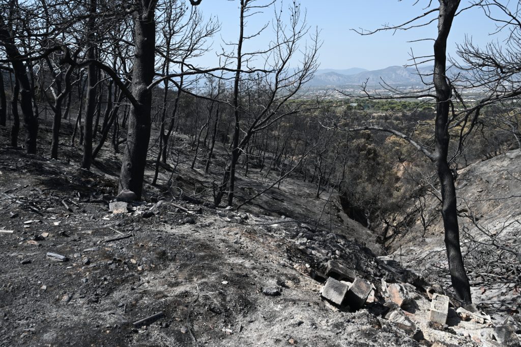 Φωτιές: Κατέληξε ο μελισσοκόμος που προσπάθησε να σώσει τα μελίσσια του από τη φωτιά στην Τιθορέα – Στους έξι οι νεκροί από τις πυρκαγιές