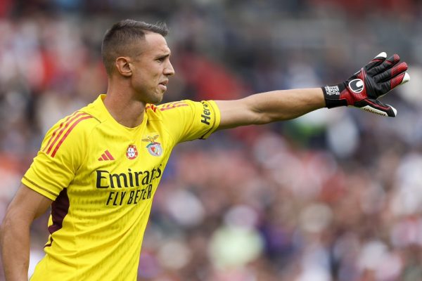 Σμιντ: «Έμεινε εκτός ο Βλαχοδήμος και προς το παρόν το ζήτημα του παραμένει ανοιχτό»