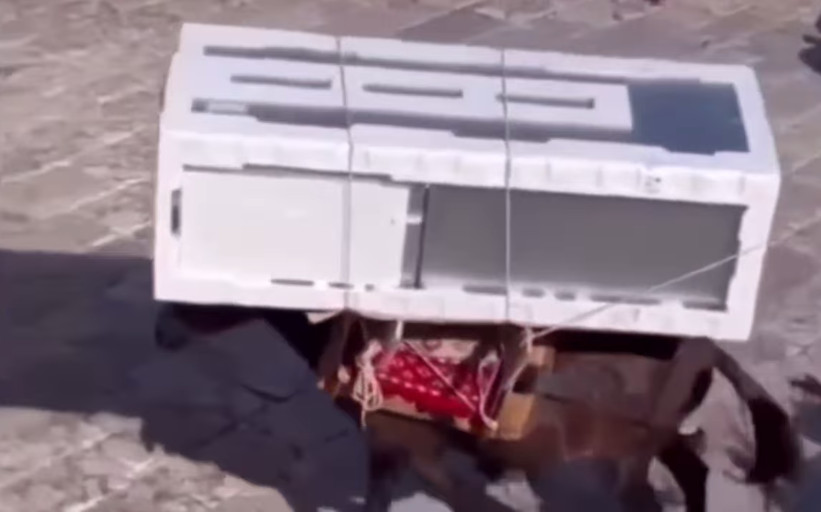 Εικόνες ντροπής: Γαϊδουράκια στην Ύδρα κουβαλάνε μέχρι και ψυγεία