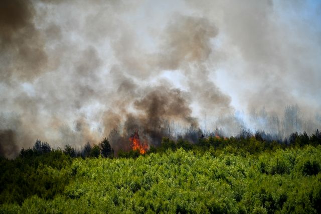 Φωτιά σε Άρτα και Κρήτη - Κινητοποιήθηκαν επίγειες και εναέριες δυνάμεις