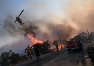 Φωτιά στη Βοιωτία: Μάχη με τις αναζωπυρώσεις – Στις φλόγες το παραλιακό μέτωπο