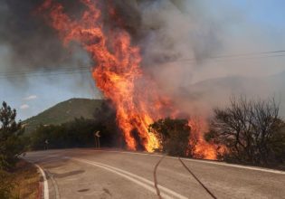 ΣΥΡΙΖΑ για φωτιές: Με επιθέσεις στους επιστήμονες η κυβέρνηση προσπαθεί να κρύψει τις ευθύνες της για την καταστροφή