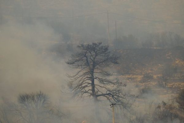 Καταγραφή των ζημιών στις κτηνοτροφικές και μελισσοκομικές μονάδες του Δήμου Φυλής