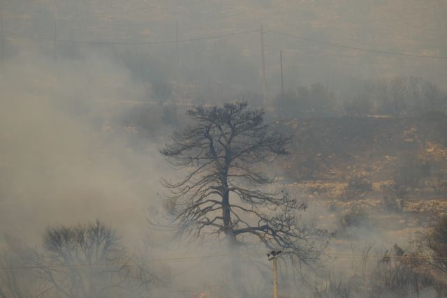Καταγραφή των ζημιών στις κτηνοτροφικές και μελισσοκομικές μονάδες του Δήμου Φυλής
